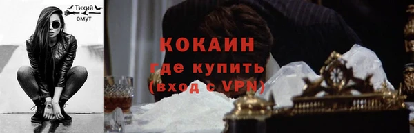 твердый Володарск
